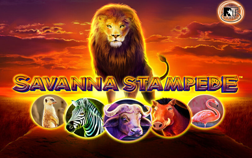 Savanna Stampede Logo und Bilder von afrikanischen Tieren vor grossem Loewen auf Huegel.